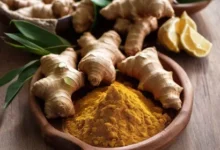 Top 10 Surprising Benefits of Ginger