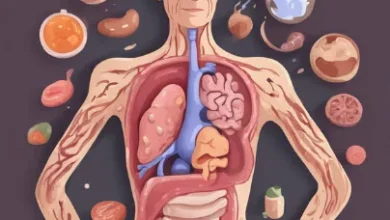 The Gut-Brain Connection: Understanding Your Digestive Health